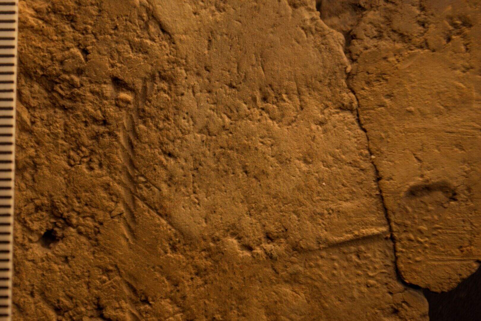 Evidence of rare Neolithic textiles discovered in Orkney | Belfast ...