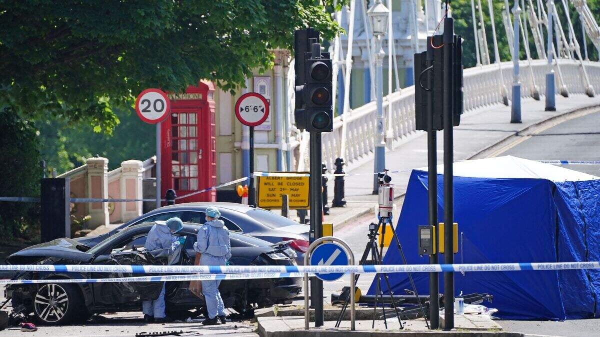 Police name woman pedestrian who died with her three dogs following car ...