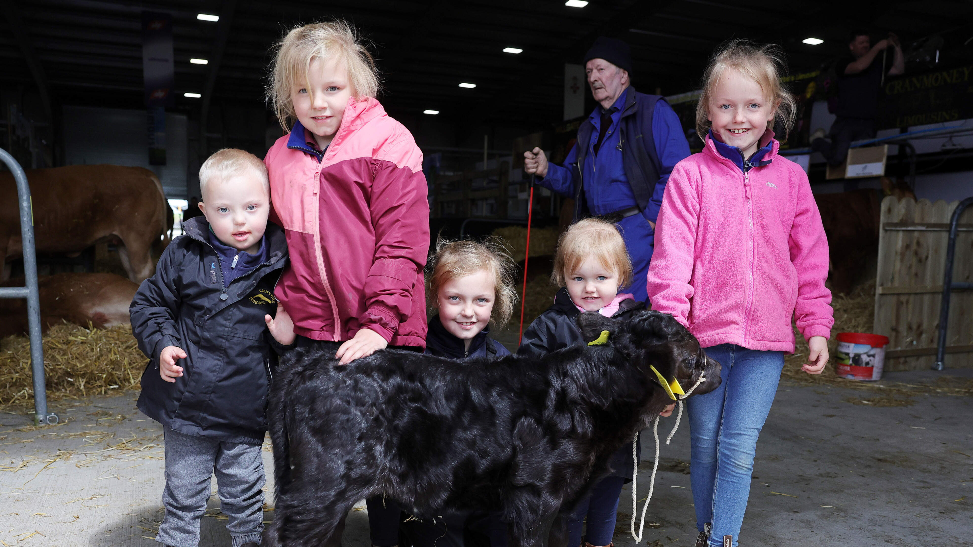 ‘There’s a great family feel’: Exhibitors and farmers prepare the final touches for Balmoral Show