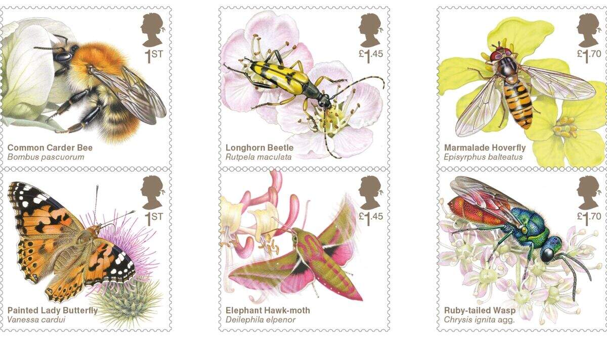 It’s a bugs life: New stamps celebrate pollinating insects | Belfast ...