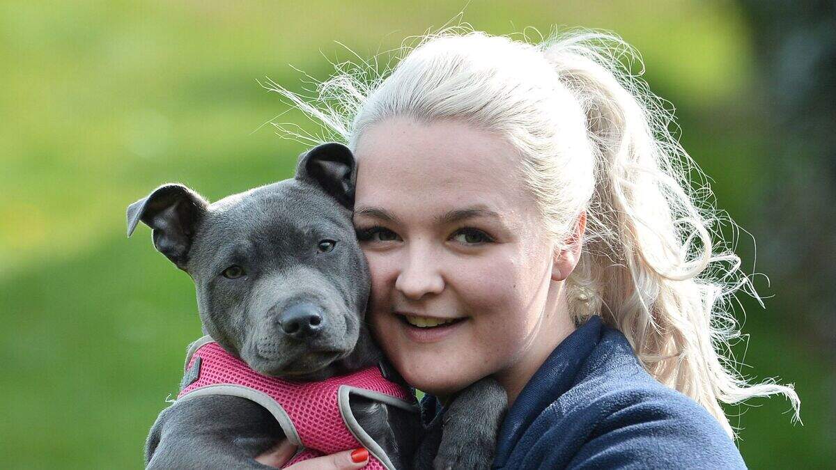 Watch: Meet Dolly - the Northern Ireland pup born both female and male ...
