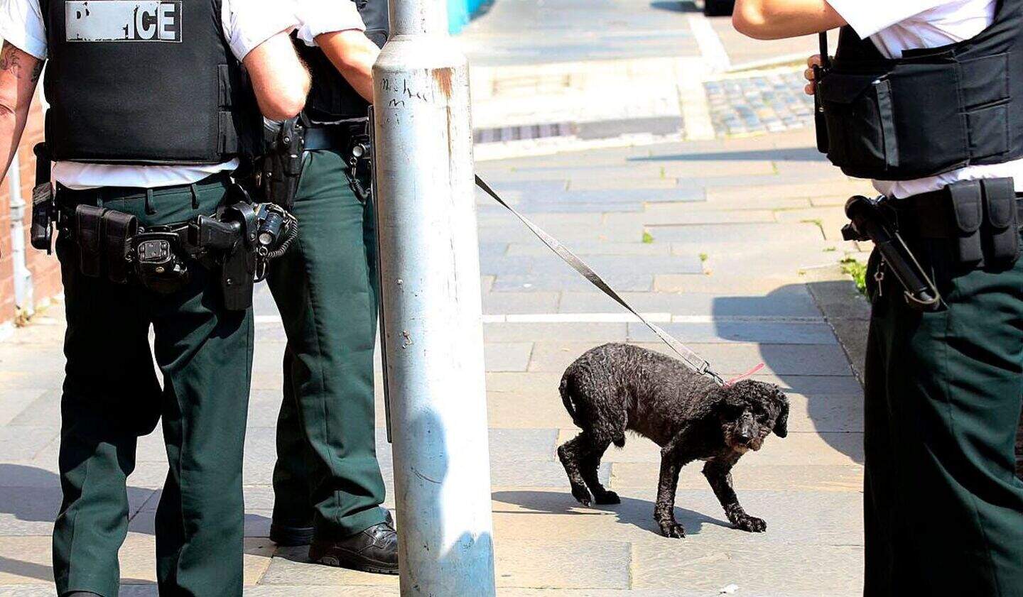 PSNI smash window to rescue trapped dog from locked car outside police ...