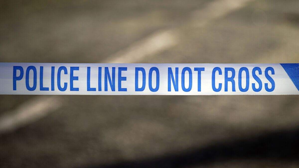 Three teenagers arrested after boy, 17, stabbed to death in ‘targeted ...
