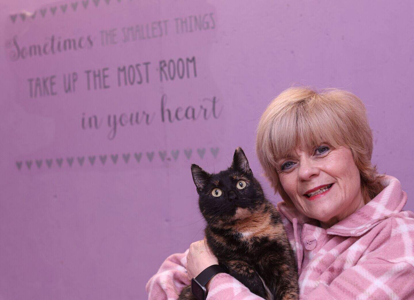 Bright Eyes Animal Sanctuary, Fermanagh: Cat fans giving up their time ...