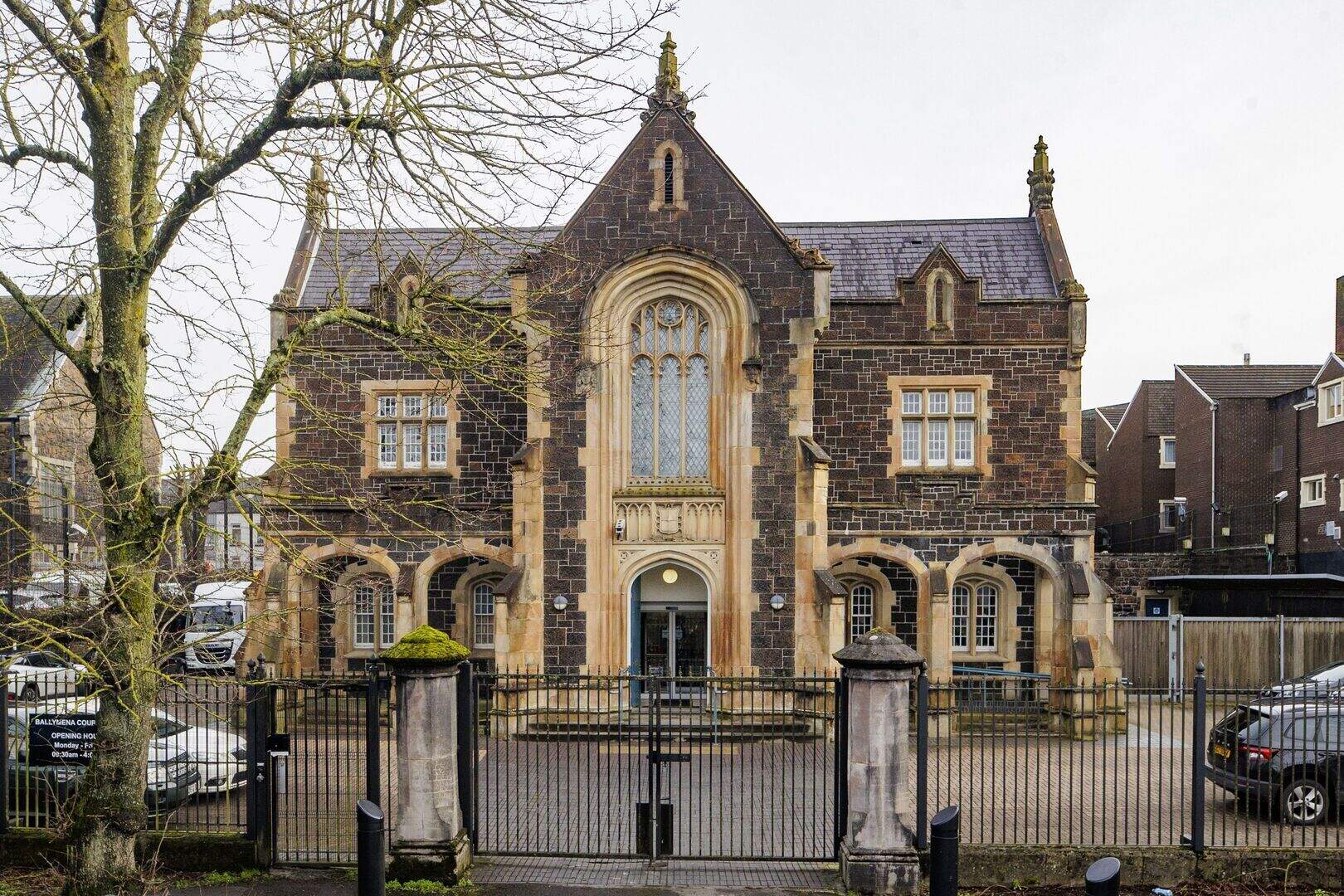Man who punched and threw dog across room receives suspended sentence