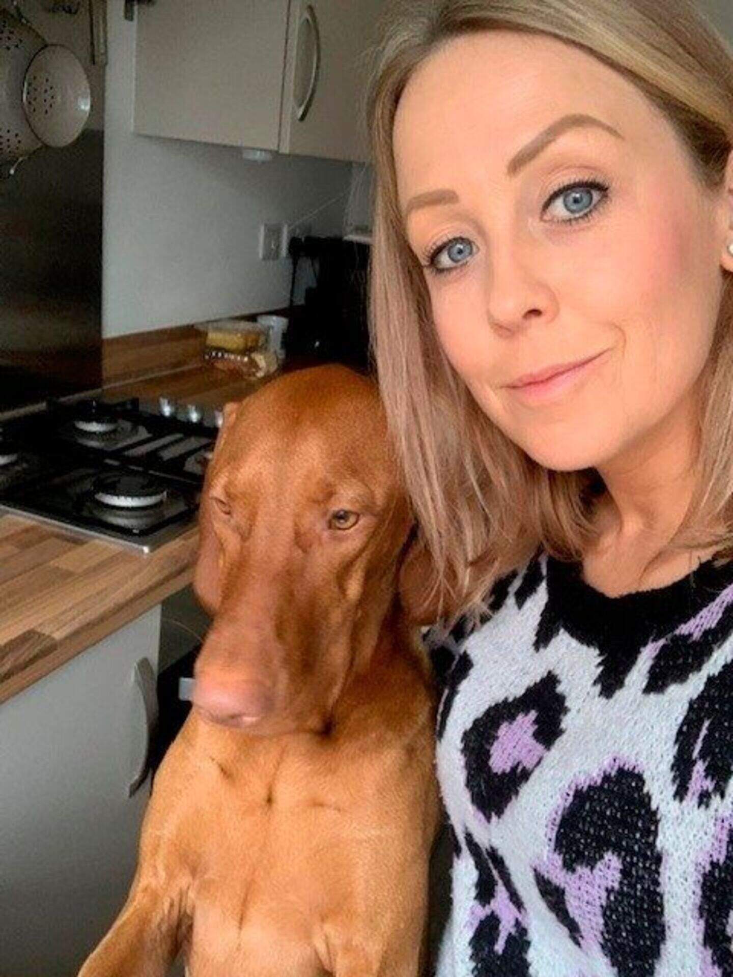 How to prepare children for the reality of caring for a dog | Belfast ...