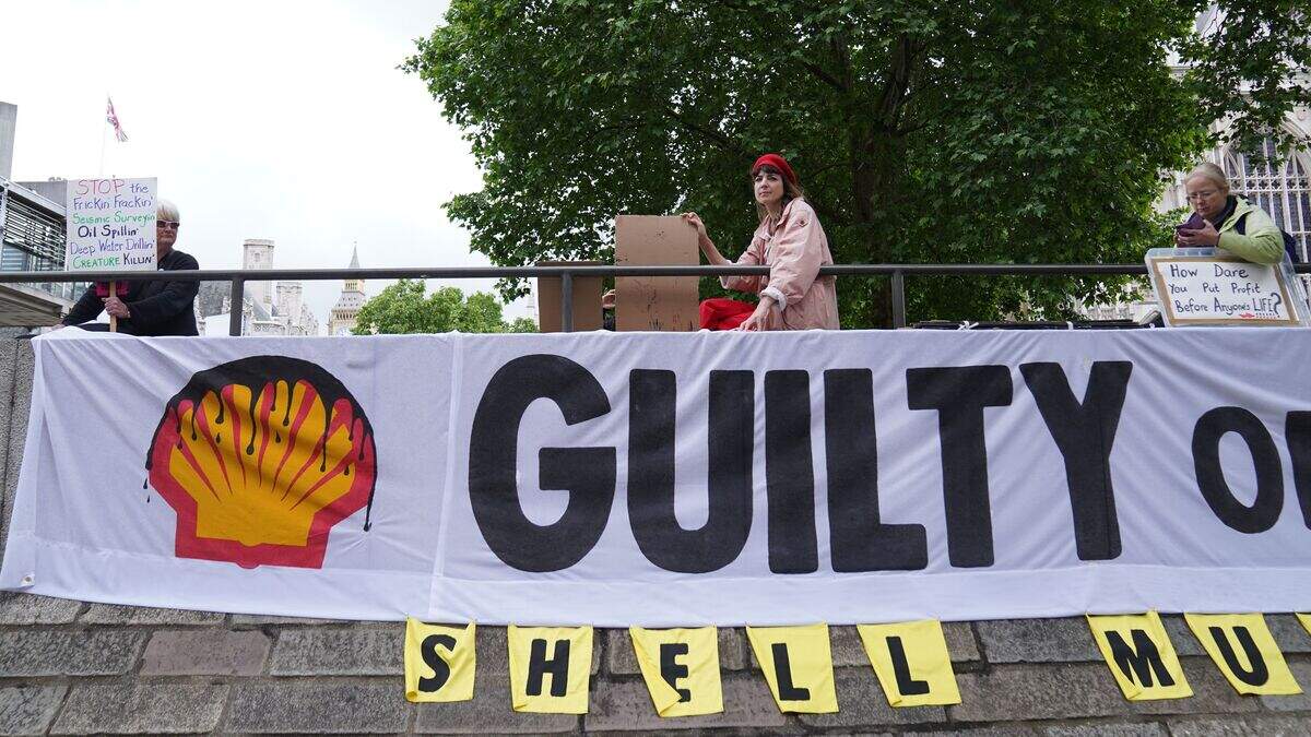 Shell forced to pause shareholder meeting amid climate protest ...