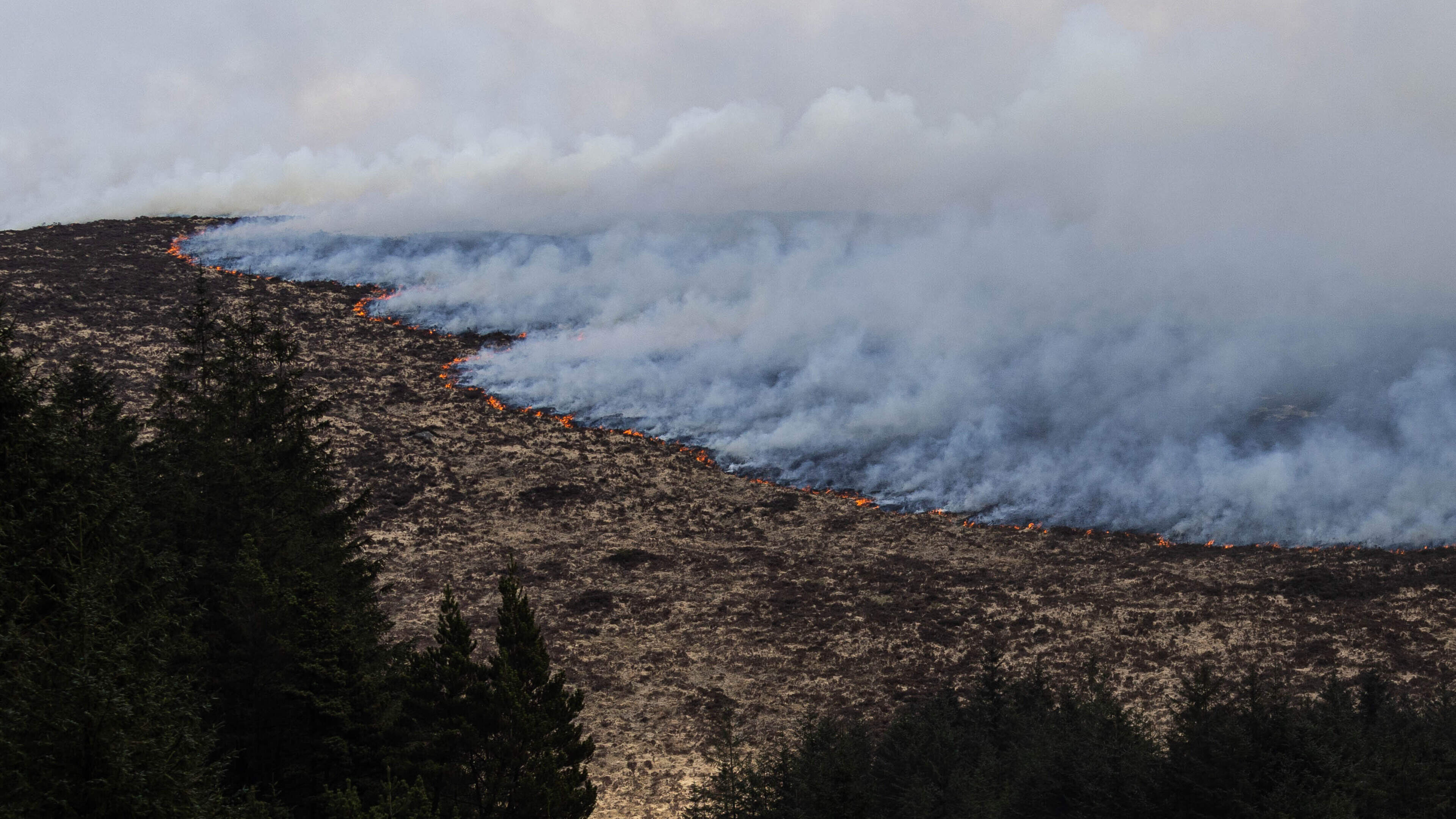 ‘It’s criminal’: Impact of deliberately started fire will be felt ‘for decades’ on habitat and wildlife in the Mournes