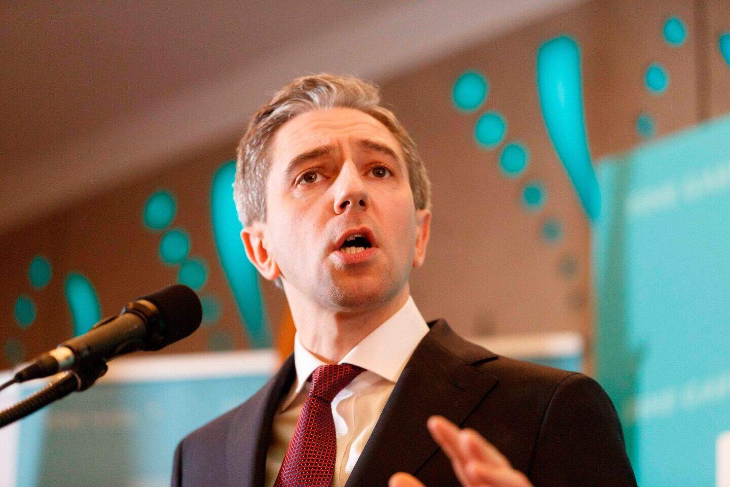 Simon Harris: Irish unity is a ‘legitimate aspiration’ but not a ...