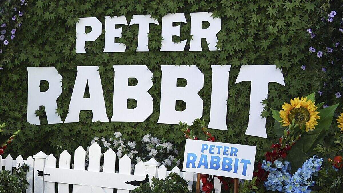 Peter Rabbit team apologises for making light of allergies | Belfast ...