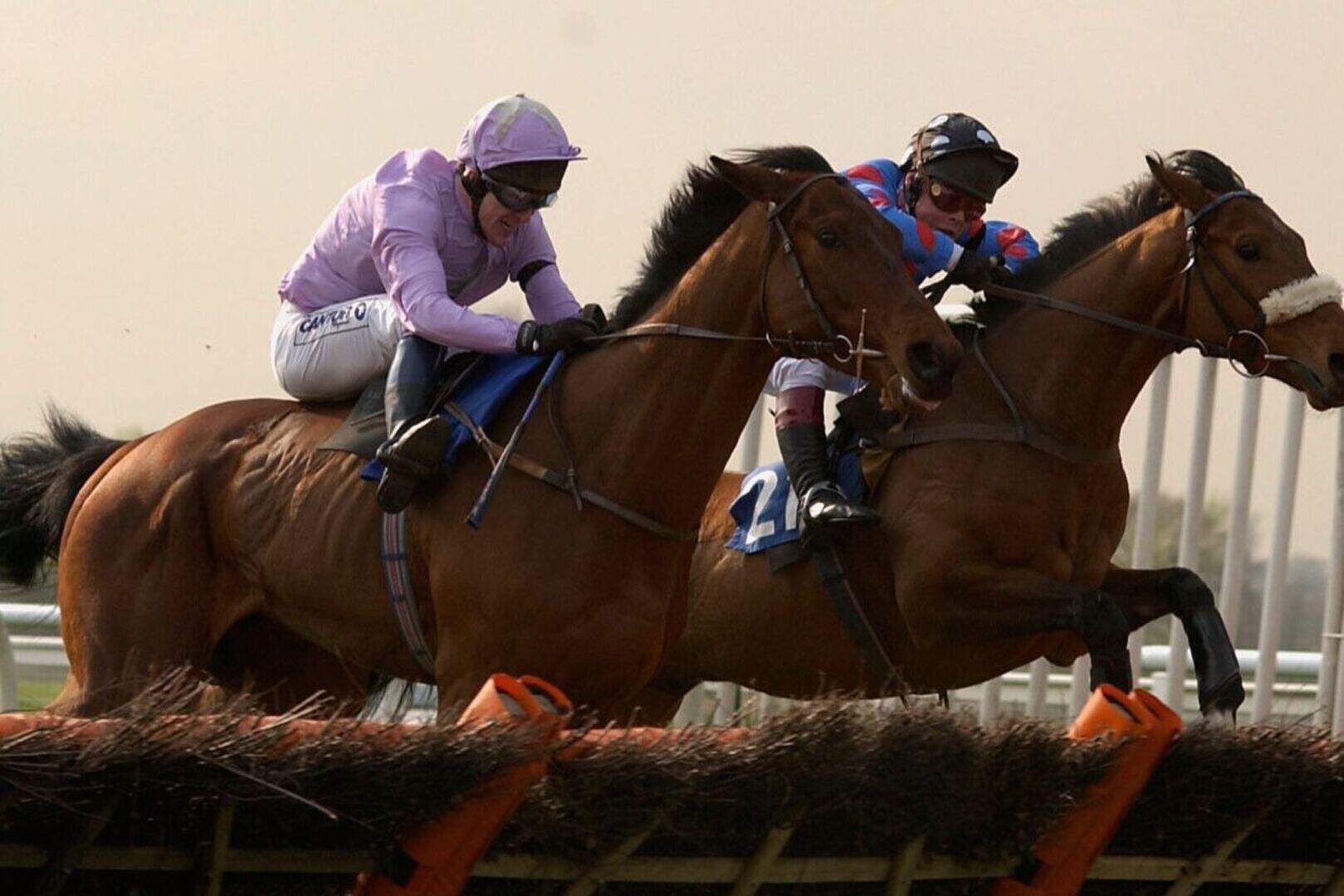 AP McCoy: My one regret was that a fall during final season cost me one ...
