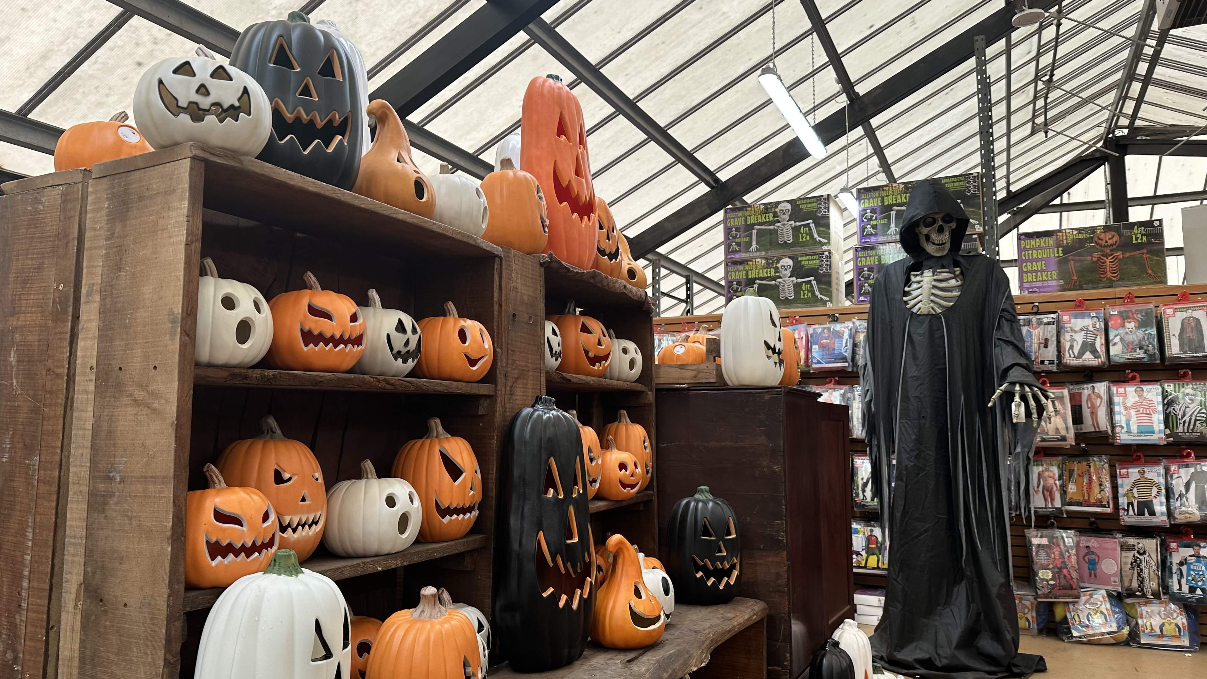 ‘Everyone is raving about it’: Co Down antique store opens Halloween pop-up with spooky walk experience
