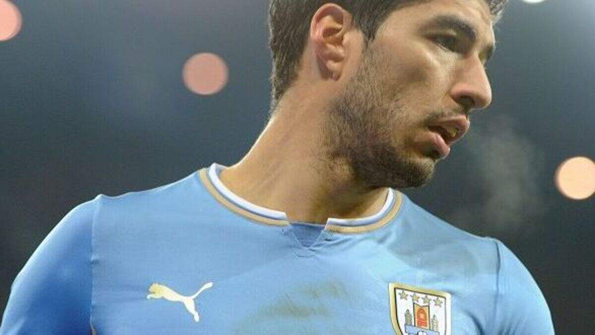 Suarez set for surgery - reports | Belfast Telegraph