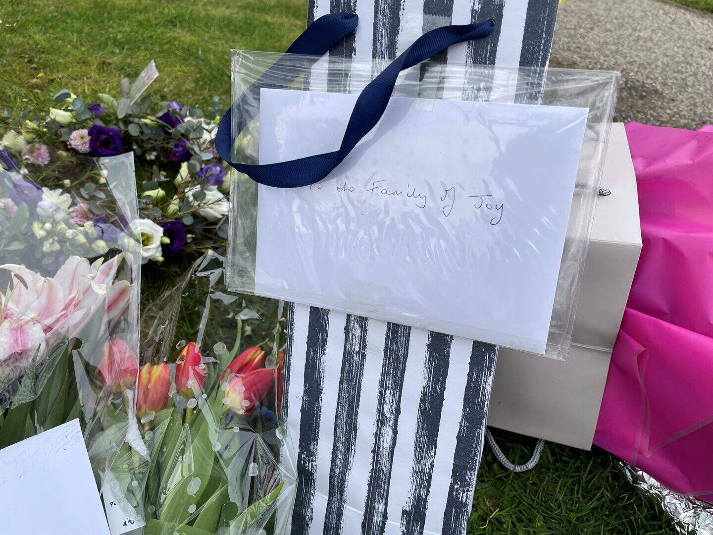 Woman, 82, described attackers to police before she died | Belfast ...
