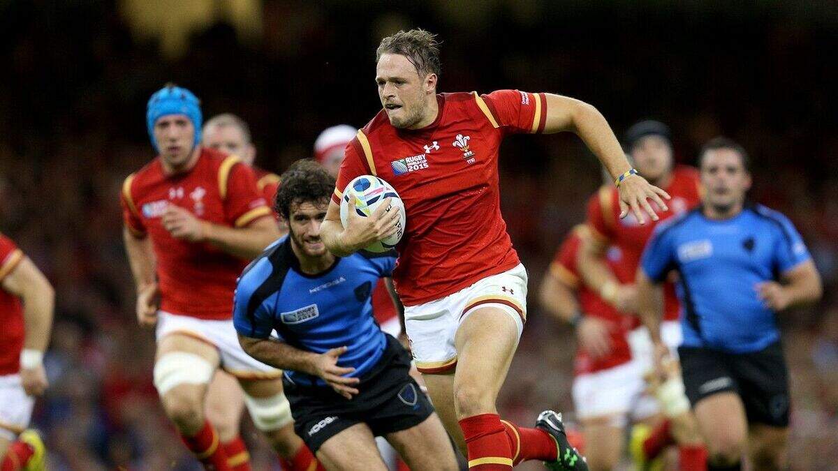 Rugby World Cup: The Breakdown | Belfast Telegraph