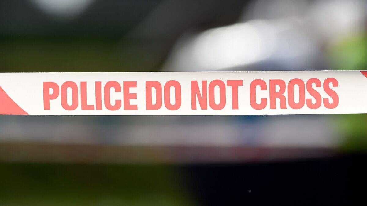 Two people dead after car crashes into tree in Essex | Belfast Telegraph