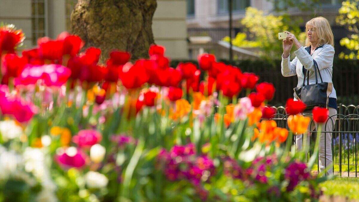 Crowd-sourced poem captures the arrival of spring | Belfast Telegraph