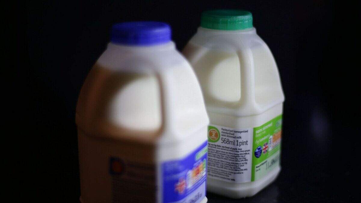 Milk price crash 'will hit farmers' | Belfast Telegraph