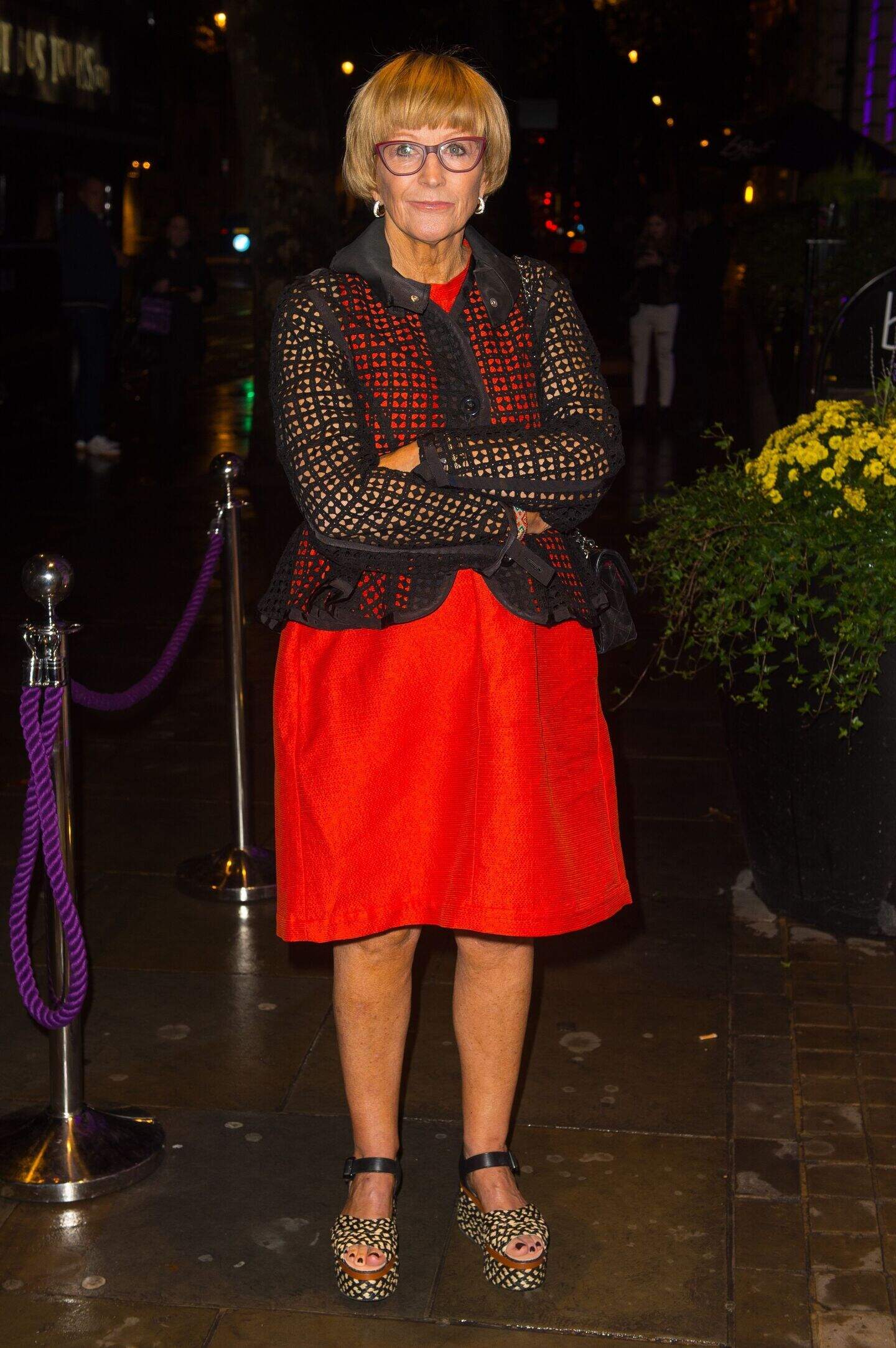 Anne Robinson on why she got a facelift and how she dealt with sexism ...
