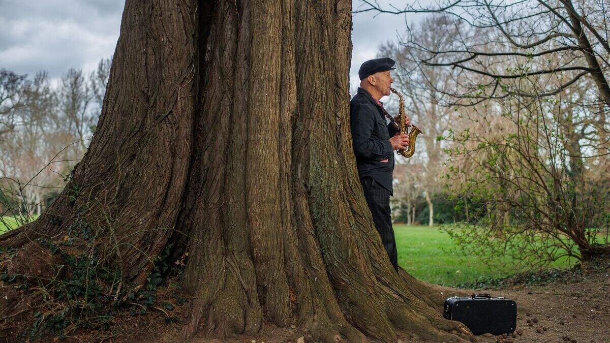 Saxophonist and clarinettist Keith Donald talks to Ciara Dwyer about ...