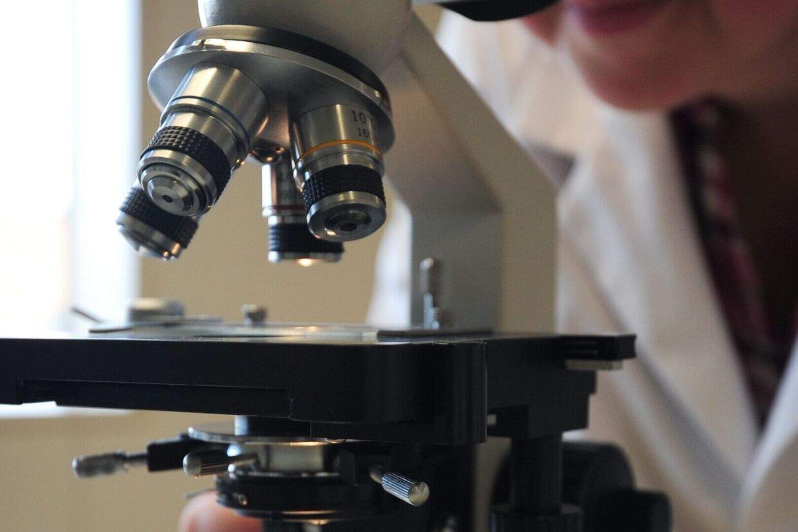 Personality shaped by our brains, study finds | Belfast Telegraph