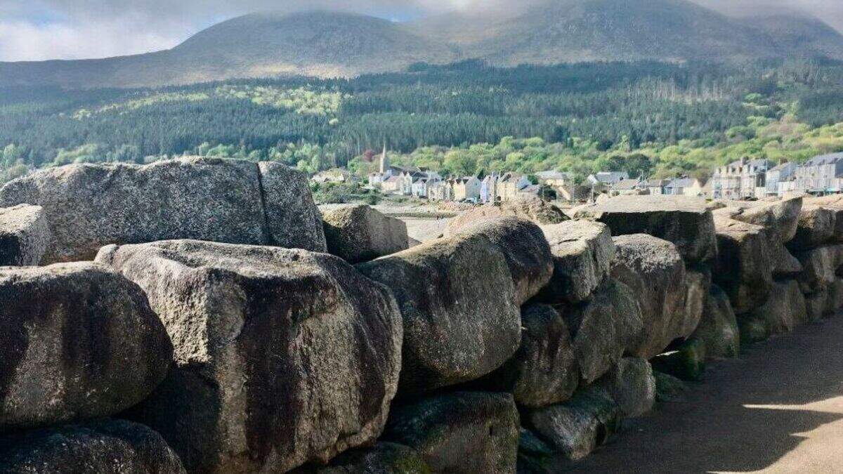 Council stonewalls request to remove prankster’s cheeky signs on ...