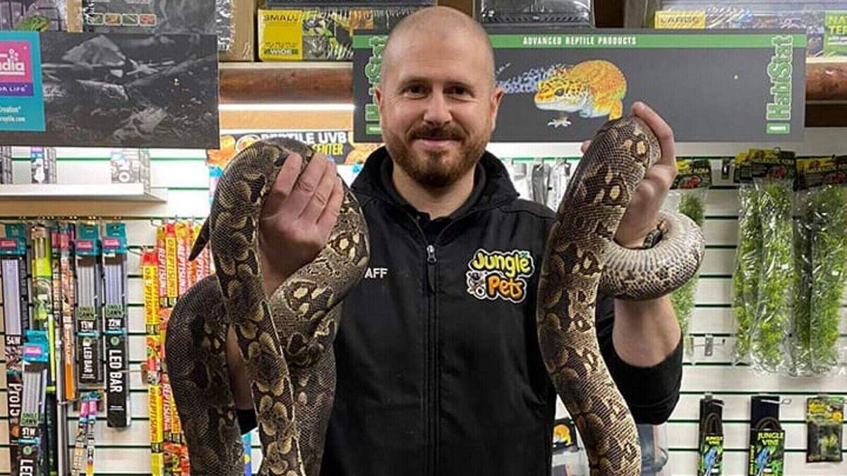 Exotic pet shop cruelty case delayed again at ‘significant expense’ after expert witness’s relative falls ill