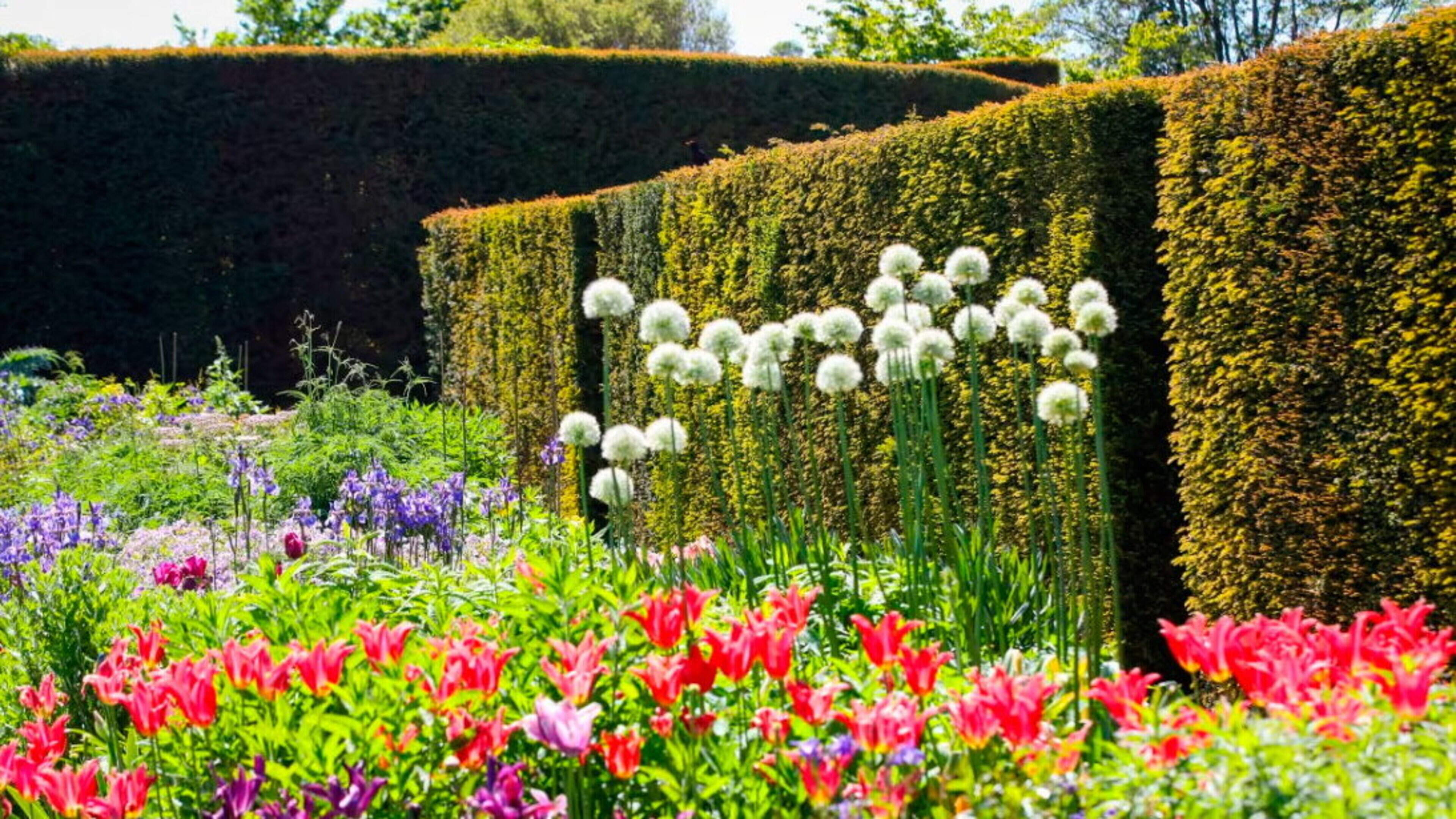 The best events in Co Antrim to enjoy this May Bank Holiday