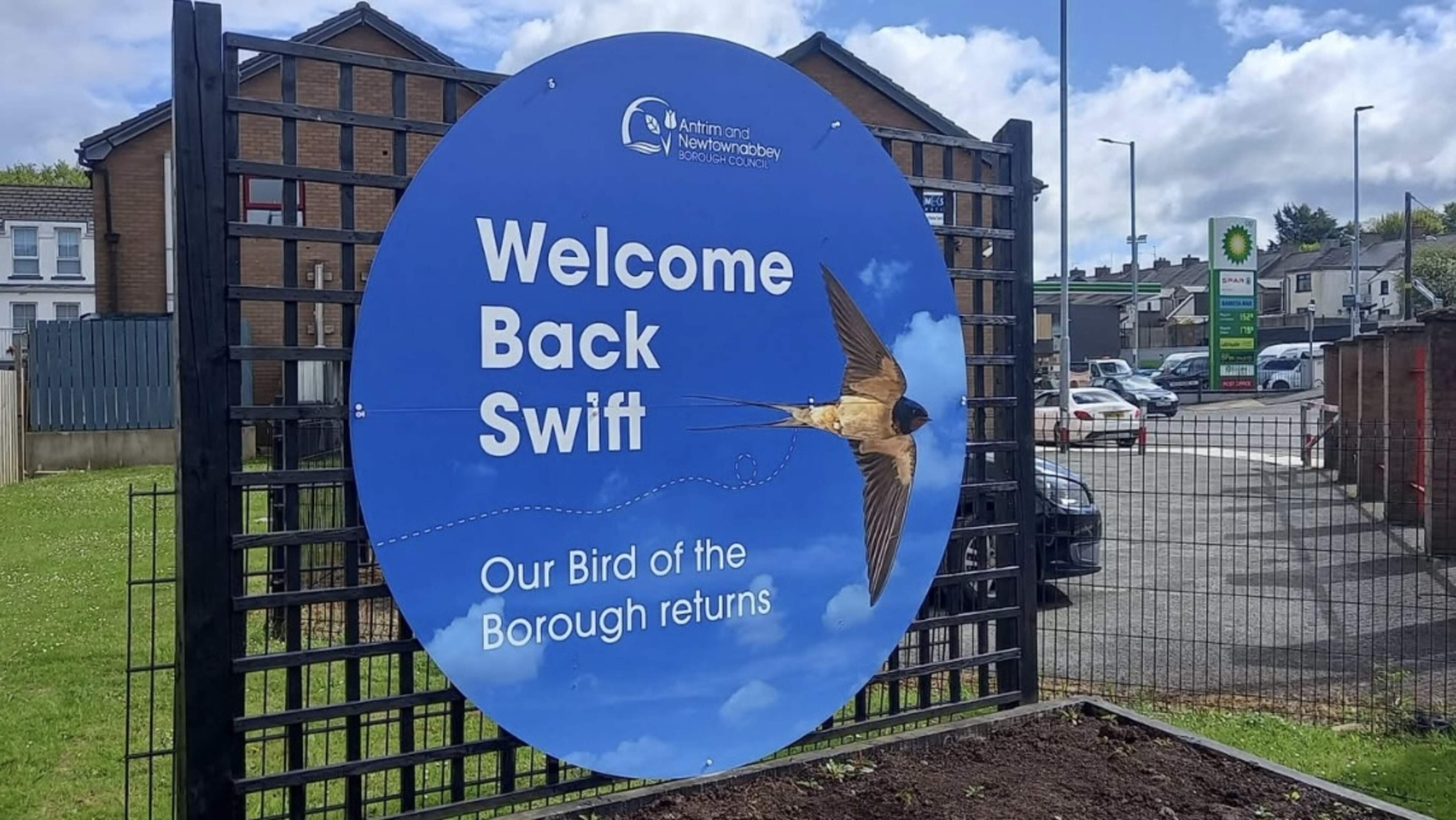Bird blunder costs ratepayers as council mixes up swifts and swallows on new signs