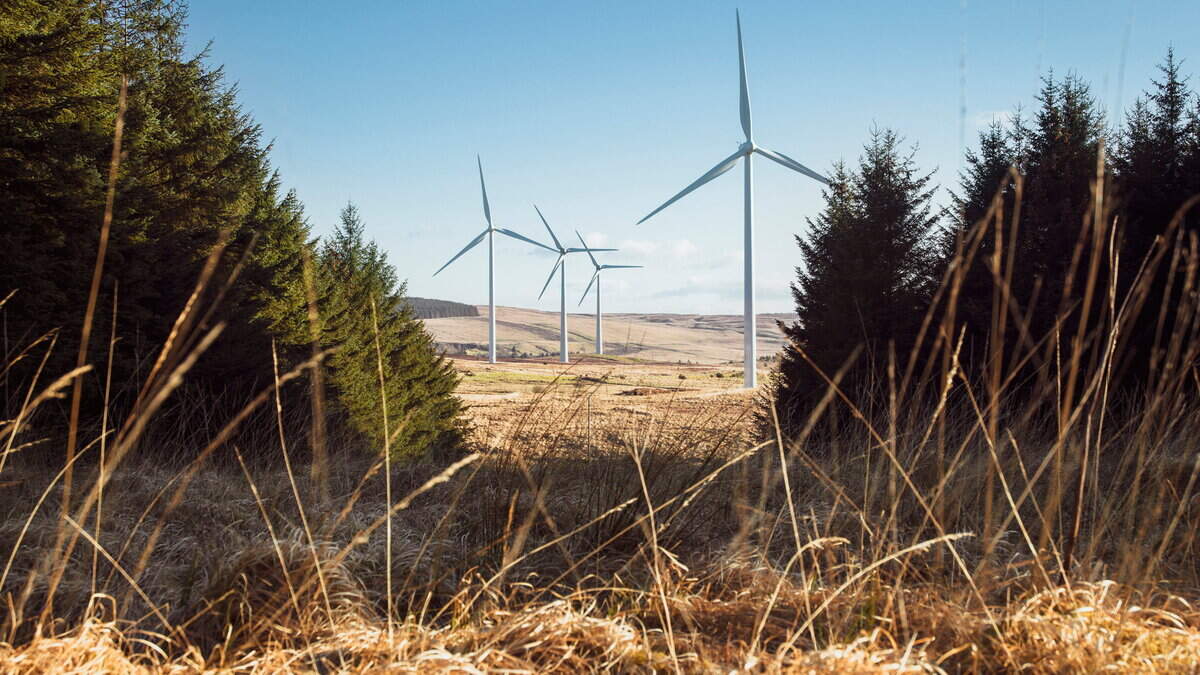 Plug pulled on plans for major NI wind farm after 15 years of delays