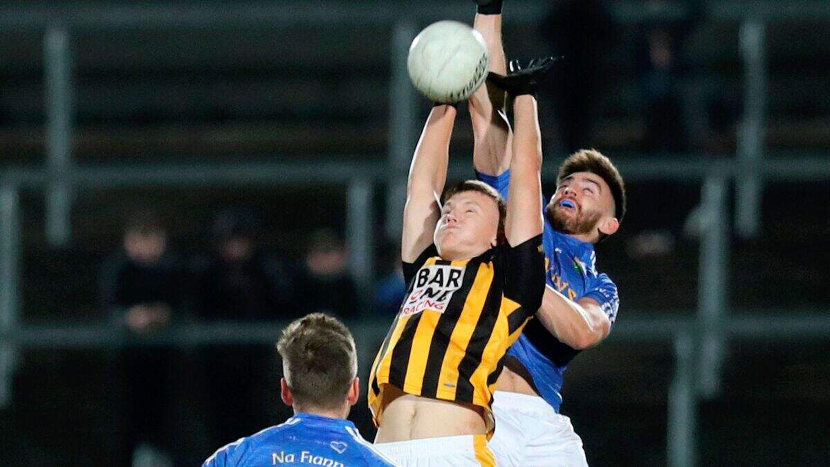 Cross production line is still churning out top class talent | Belfast ...