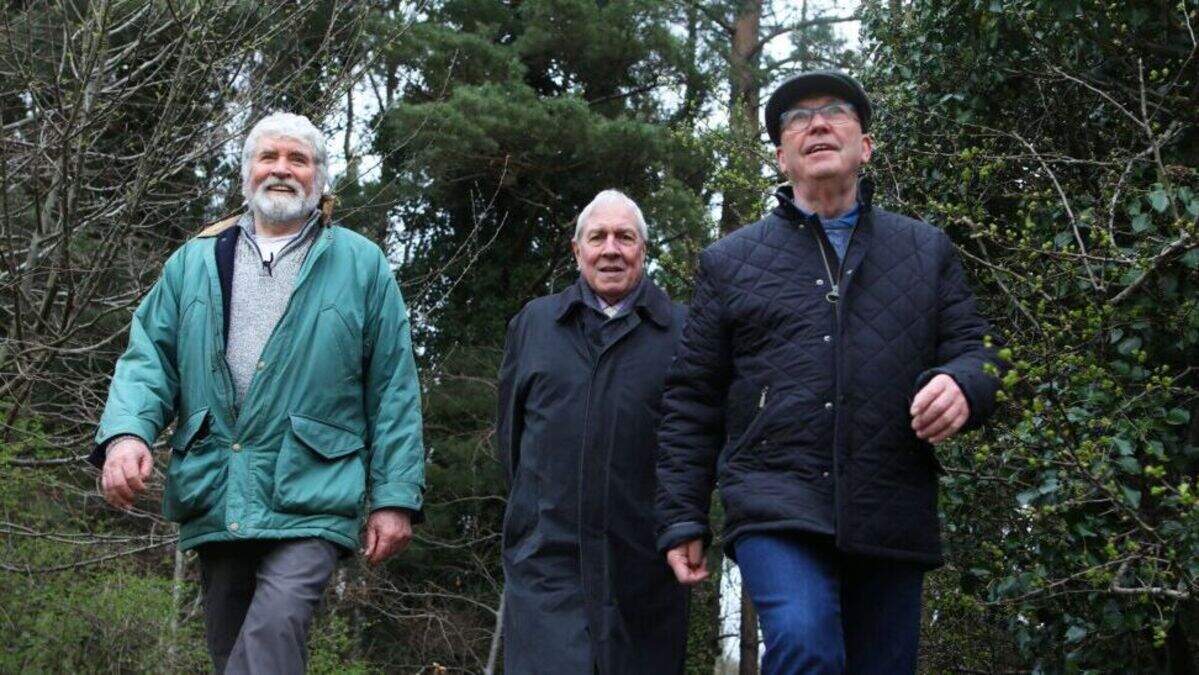 The Belfast men who have walked their way back to good health ...
