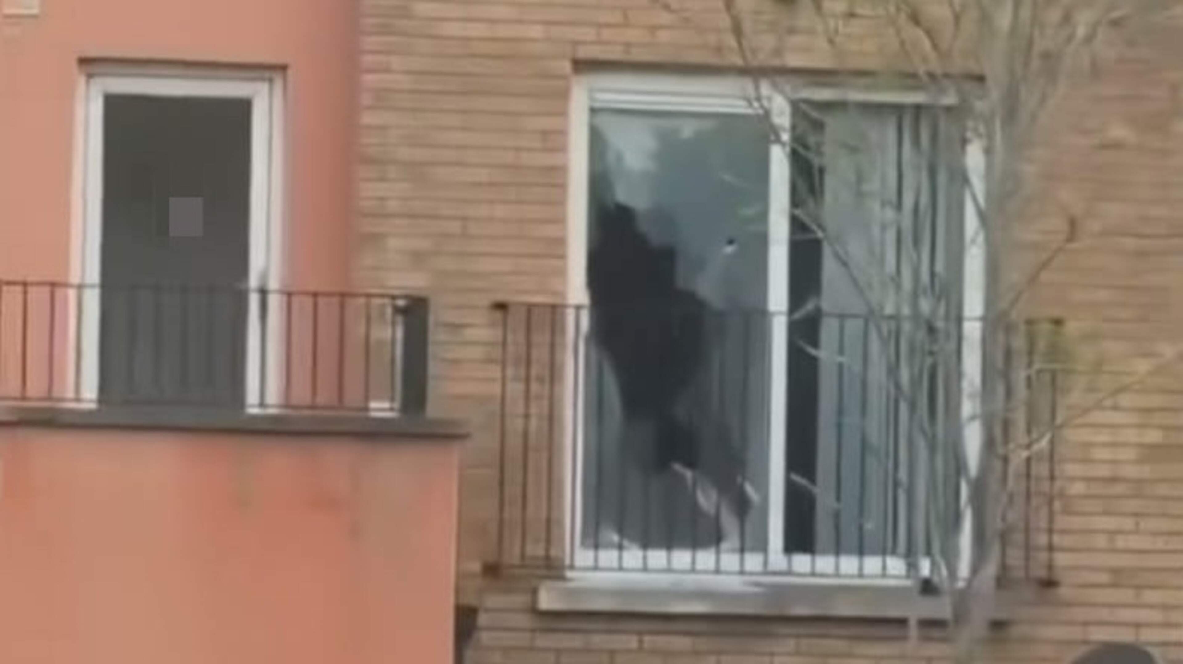 Mob attack on home is linked to paedophile hunter ‘sting’