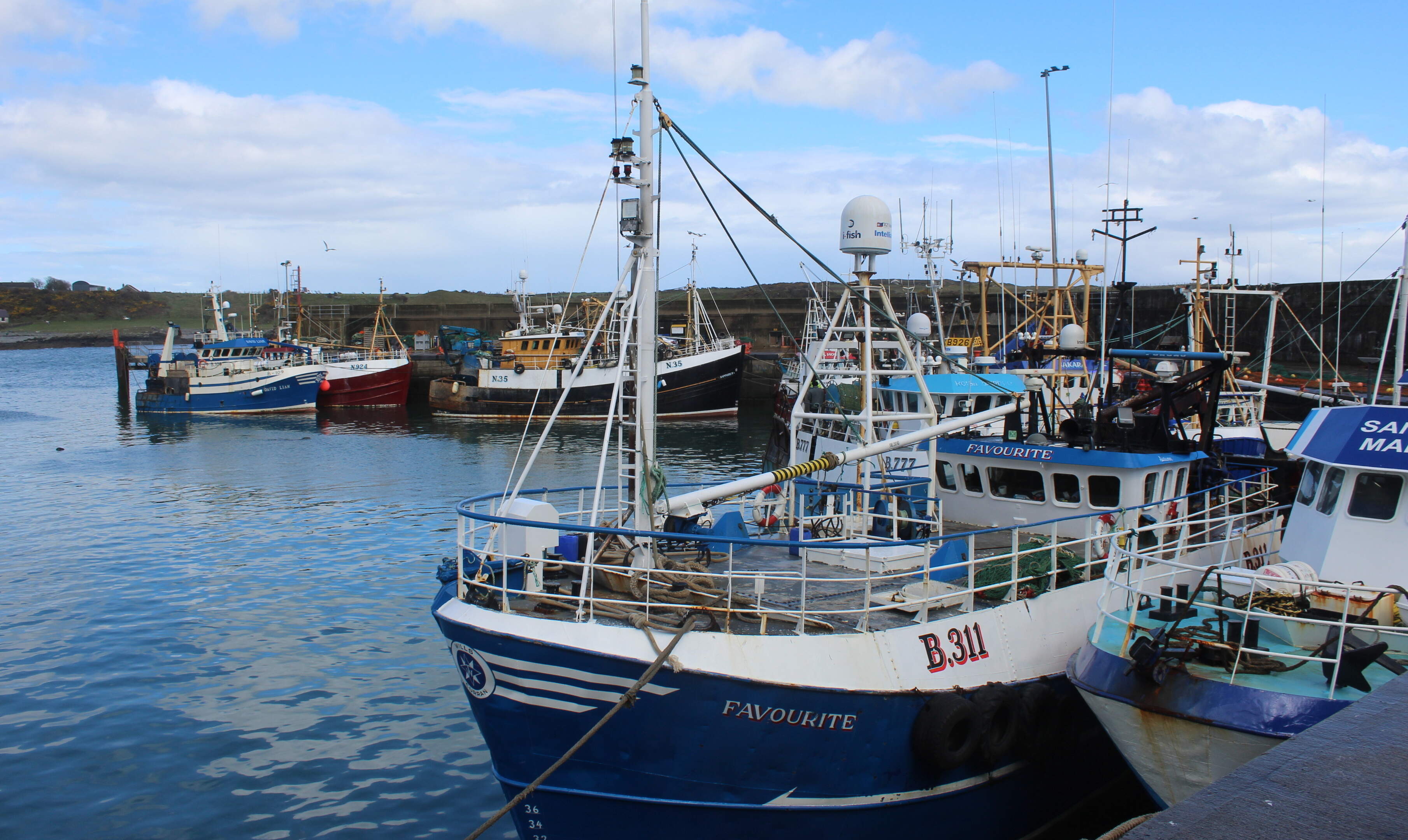 Judge grants bail to fisherman accused of rape, non-fatal strangulation and making threats to kill