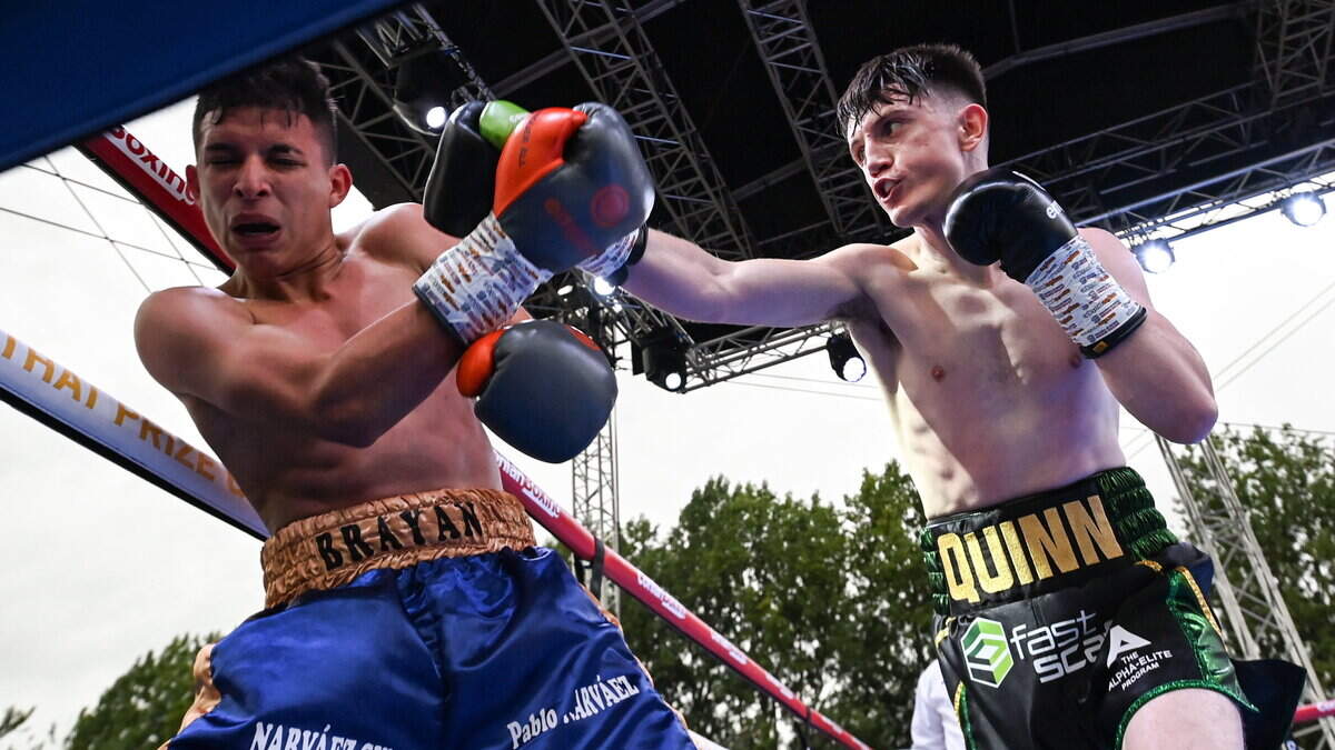 ‘A defeat would have left him in the wilderness’: NI boxer turned promoter on Ulster Hall headline act