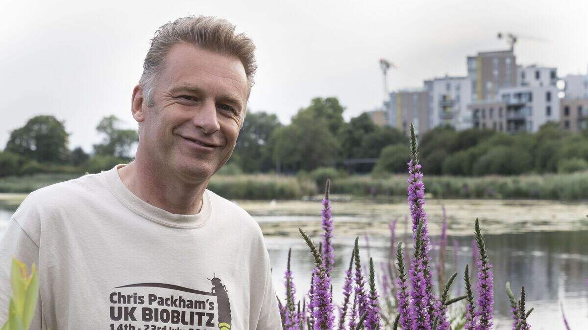 Chris Packham unveils raft of proposals to save Britain’s declining ...