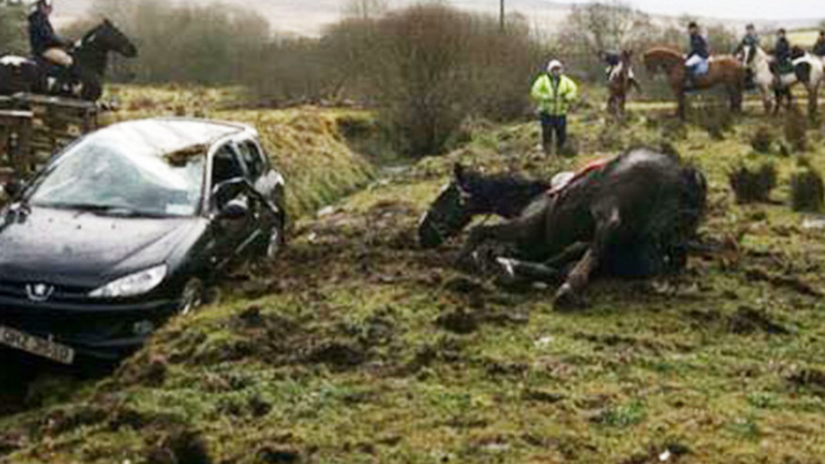 Outcry after horse injured jumping car in Tyrone charity stunt ...