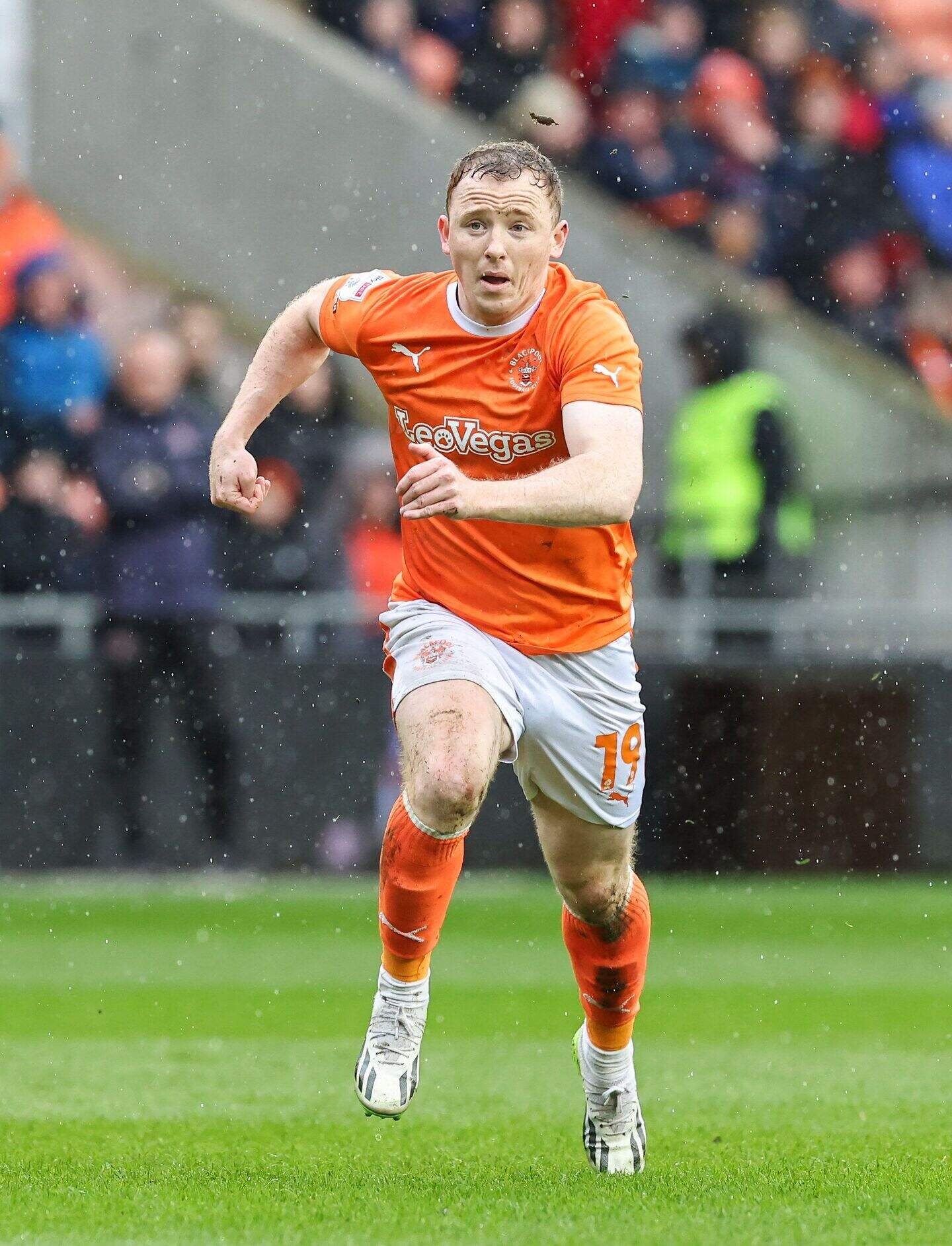Irish League Glentoran transfers: George Feeney deserves his Tottenham ...