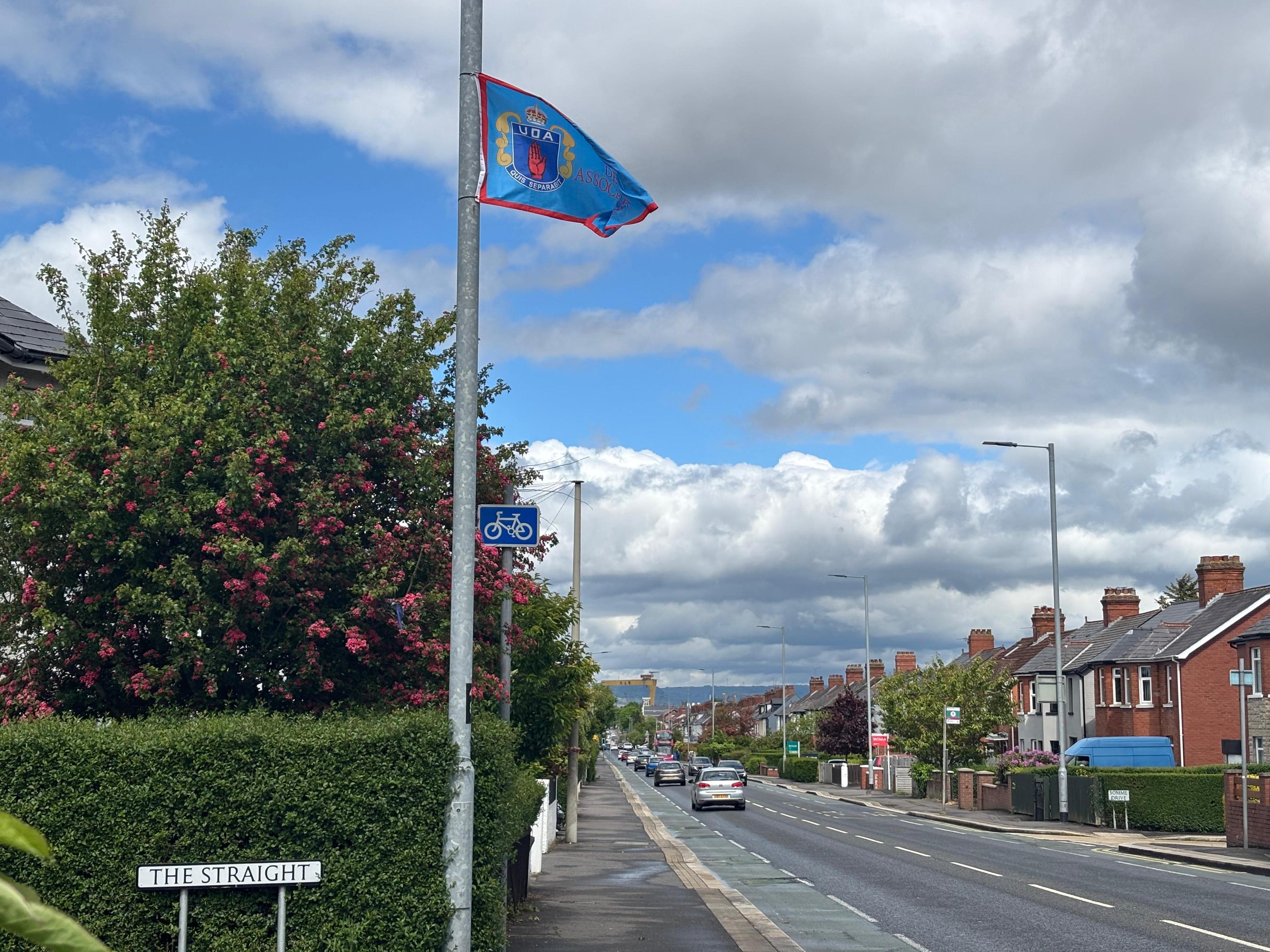 Councillors condemn ‘deeply sinister, territory-marking, totally unacceptable’ UDA flags in east Belfast