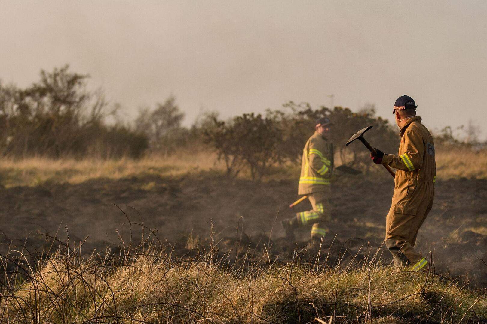 In pictures: Firefighters tackle gorse fire at Giant’s Park in north ...