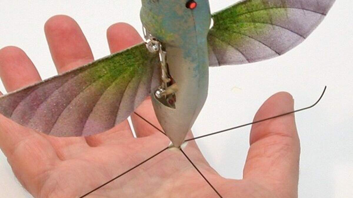 Artificial hummingbird developed | Belfast Telegraph