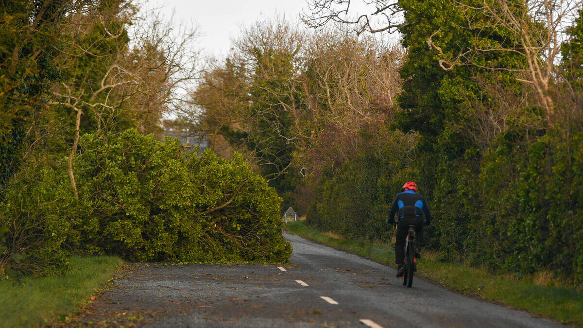 Storm Boelo batters NI with 70mph winds, leaving thousands of homes without power and flights cancelled