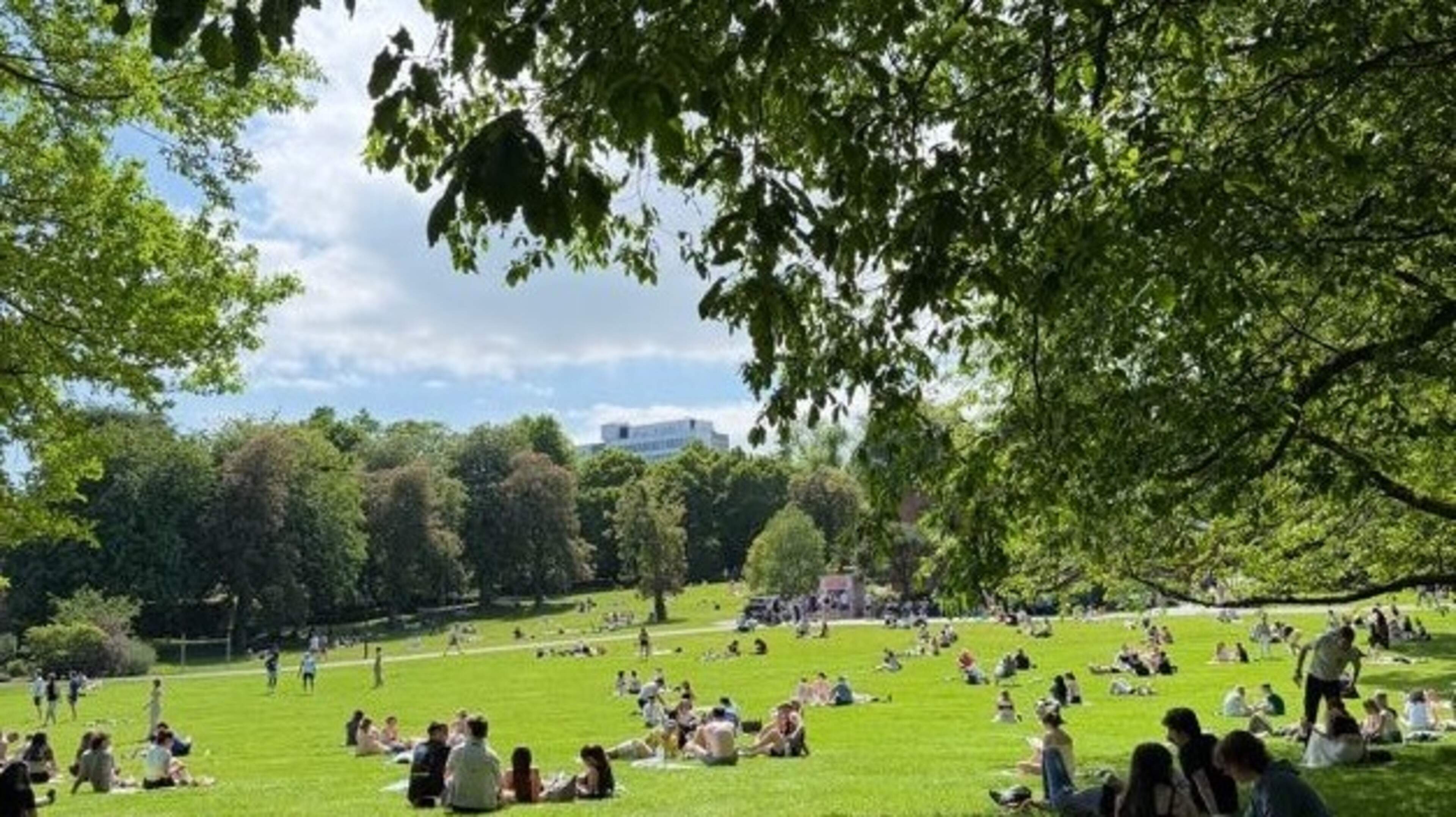 Sun-worshippers flock to Botanic Gardens as Belfast basks in hottest bank holiday on record in UK