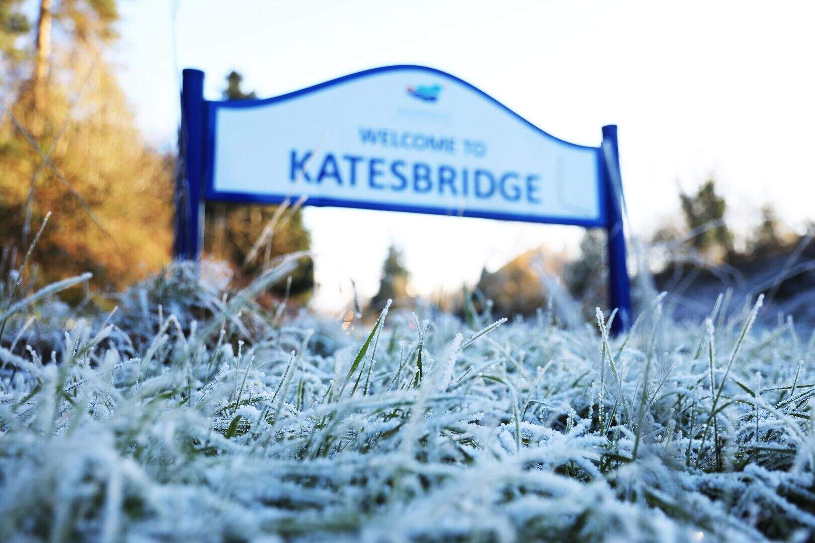 'Sure everything's frozen here’: How Katesbridge residents cope with ...