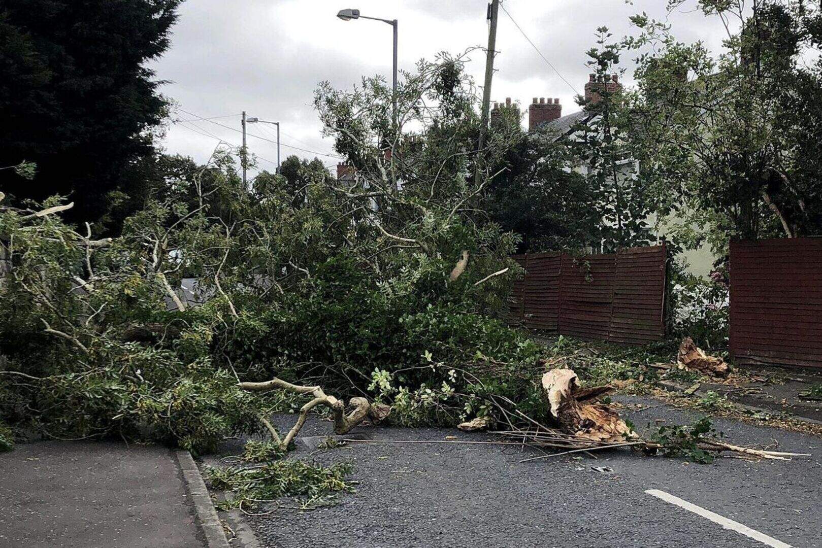 All power restored to Northern Ireland following Storm Ali | Belfast ...