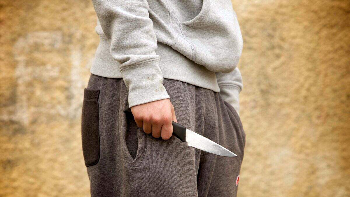 Controversial Gangs Matrix database ‘not the answer’ to violent crime ...