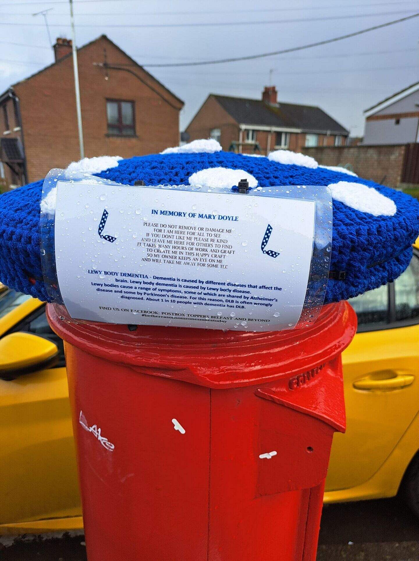 Knitting pretty: Belfast residents get creative to decorate the top of ...