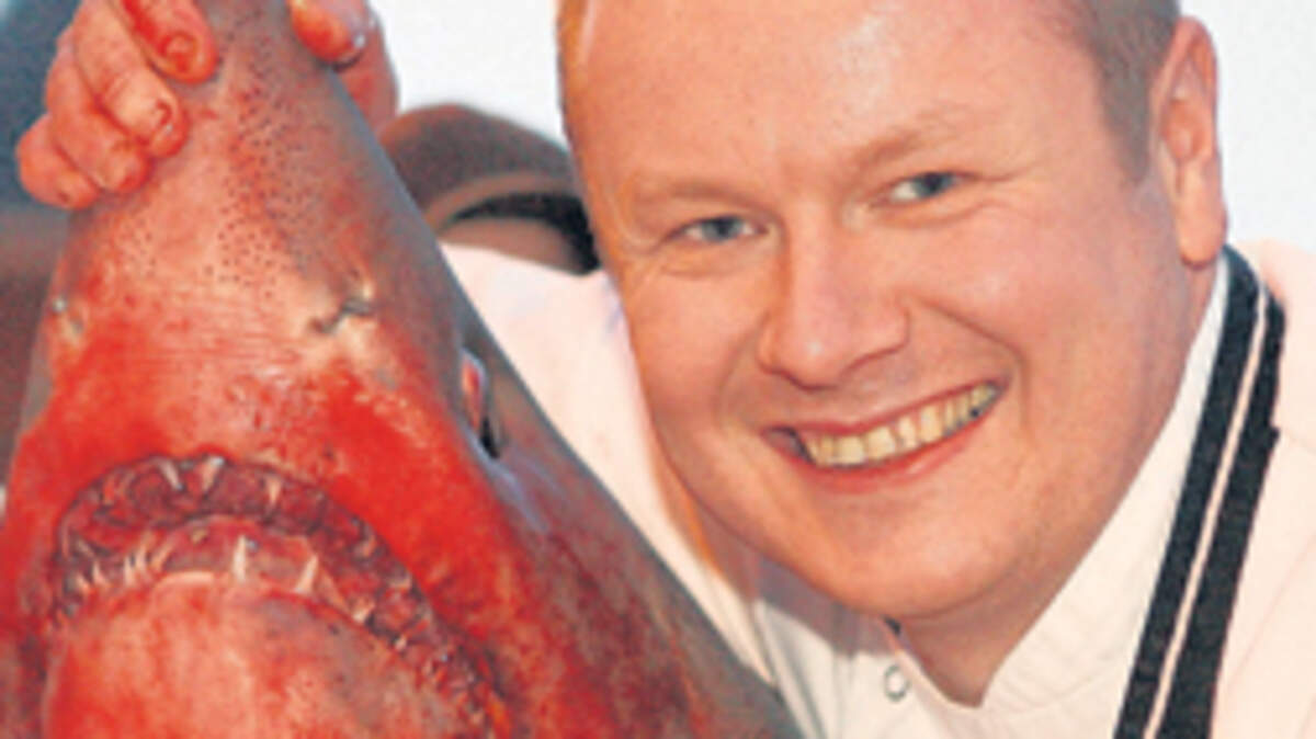 Why Andy doesn't have to fish for compliments | Belfast Telegraph