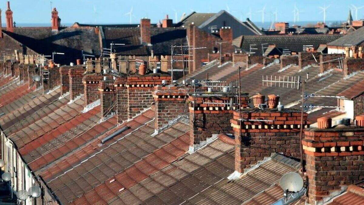 Demand for crackdown on ‘selfish’ social housing fraud