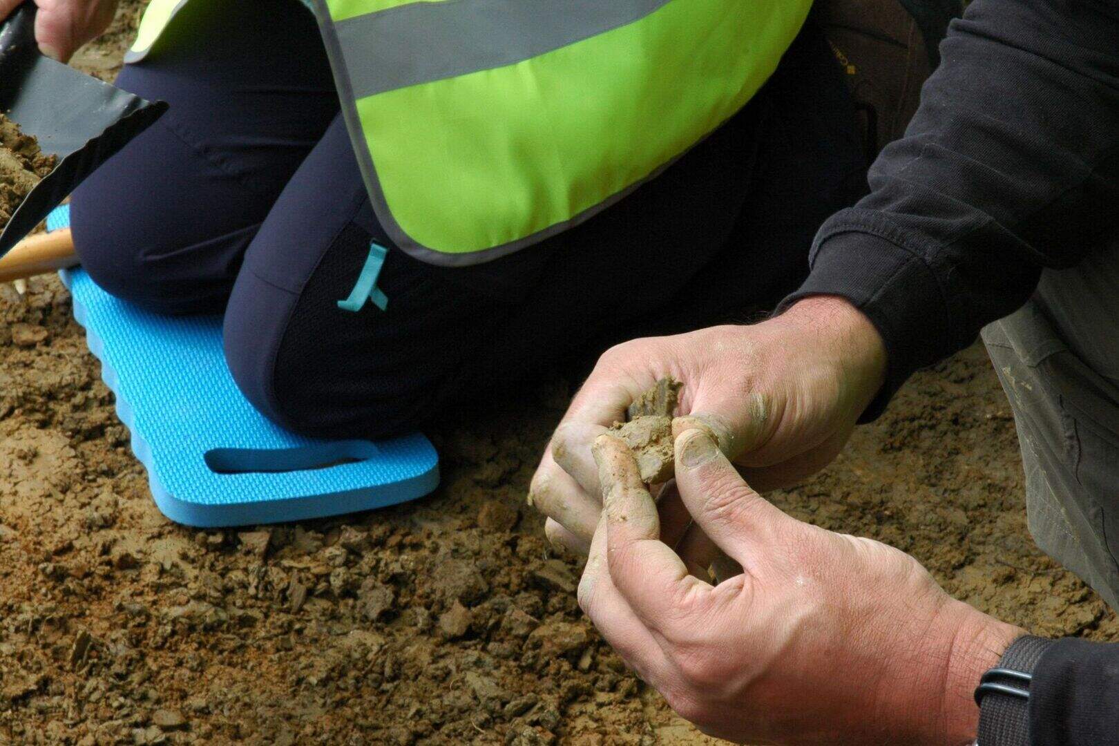 Archaeologists find ancient necropolis in Egypt | Belfast Telegraph
